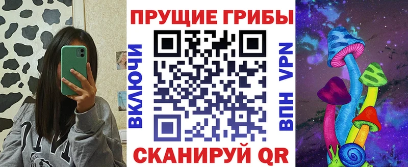 Купить где  Долгопрудный  Псилоцибиновые грибы прущие грибы 